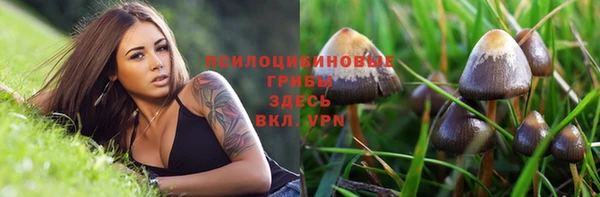 бошки Алексин