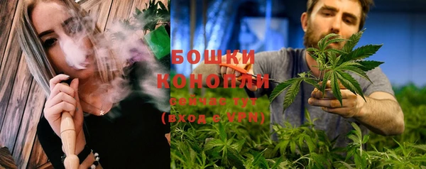 бошки Алексин